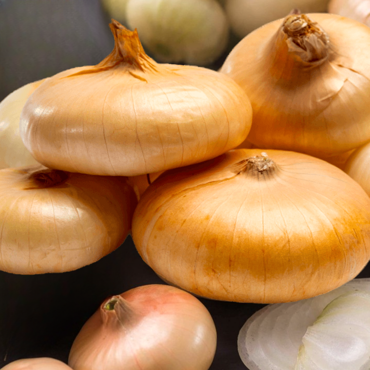 Borettana Yellow Cipollini Onion Seeds Sweet Italian Flat Cipolla