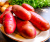 Red French Fingerling Seed Potatoes
