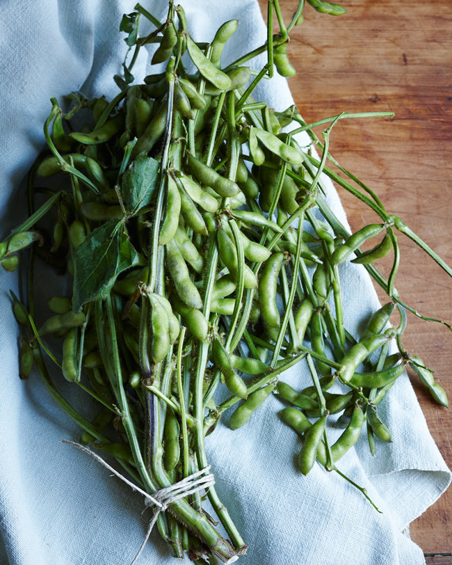 Triple Play Edamame Soy Bean Seeds - For 2026 Planting USA Garden