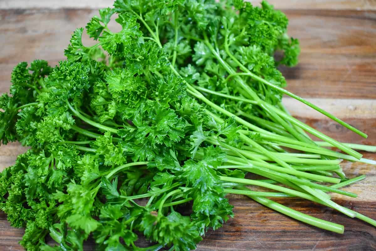 Triple Moss Curled Parsley Seeds - For 2025 Planting Curly Leaf