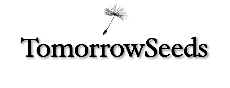 TomorrowSeeds logo