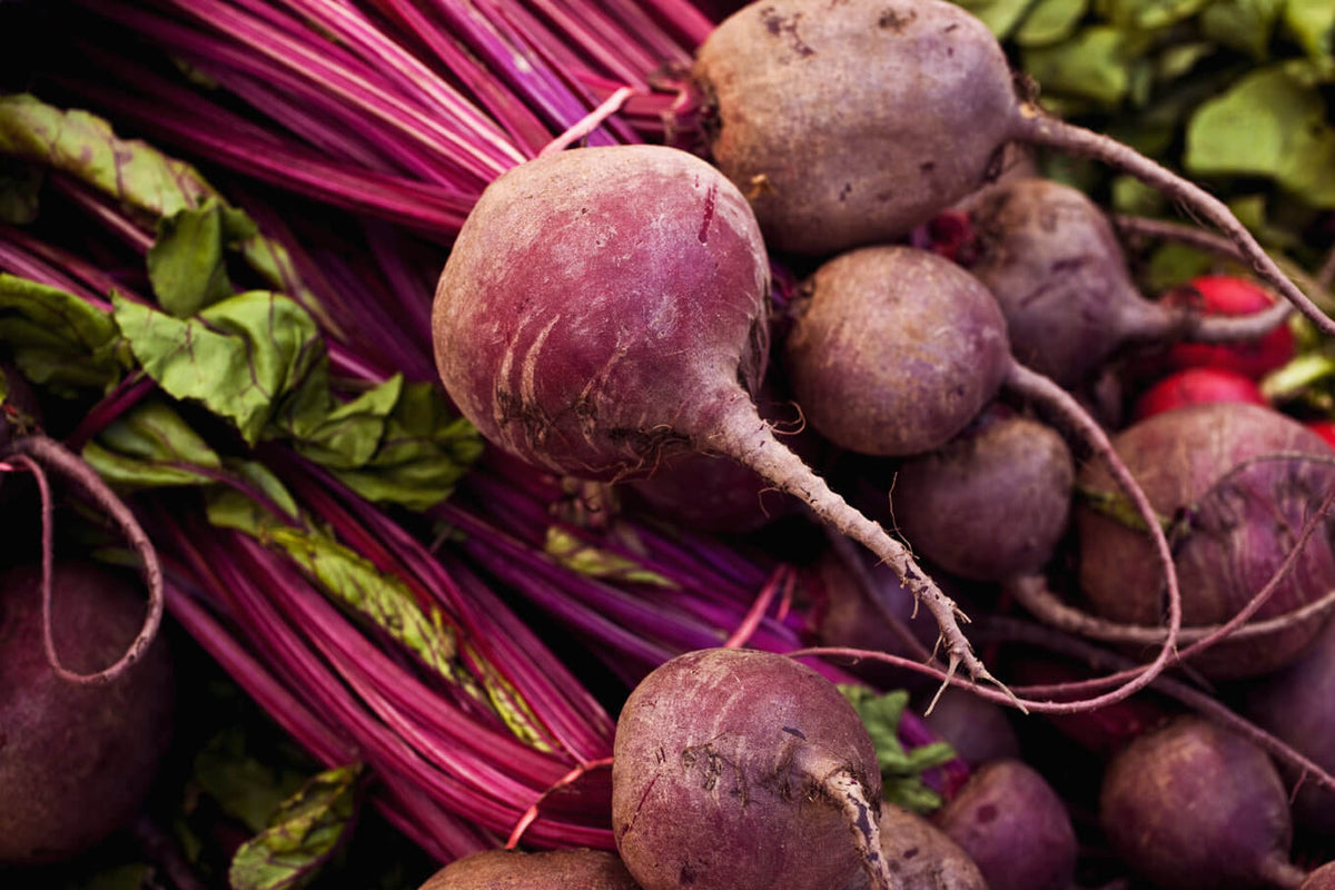 Detroit Dark Red Beets Ruby Red Beet Harvard Blood Turnip Mangel Beetroot Garden Cold Hardy