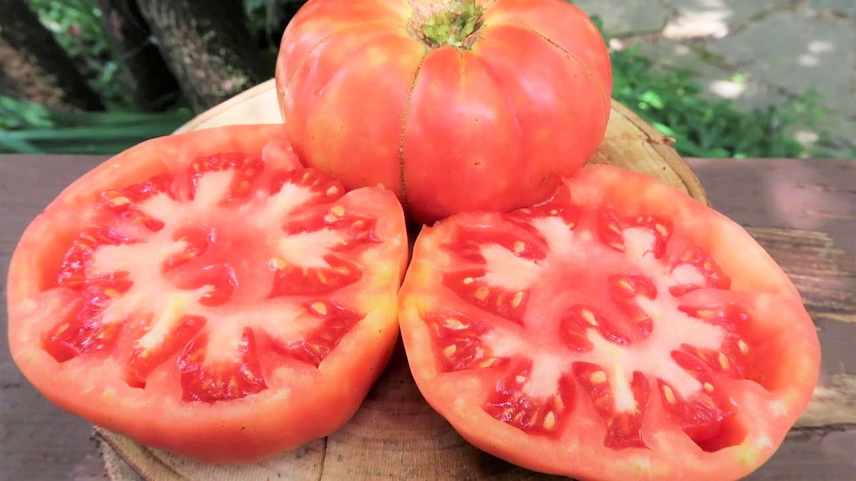 Brandywine Pink Beefsteak Tomato