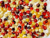 Firecracker Popcorn (Ornamental Corn)