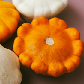 Orange Patty Pan (Bush Scallop Squash)
