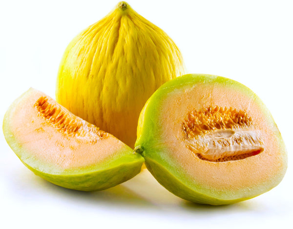 30 Crenshaw Melon Muskmelon Fruit Seeds - Sweet, Unique Melon Variety From Seedville USA