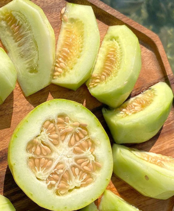 Sakata's Sweet Asian Melon Seeds - For 2026 Planting Japanese