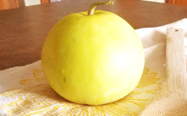 Sakata's Sweet Asian Melon