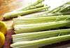 Cardoon