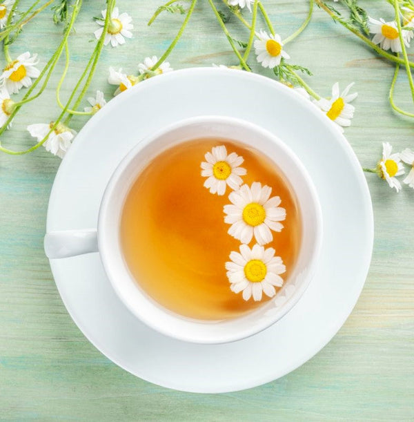 German Chamomile