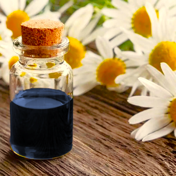 German Chamomile