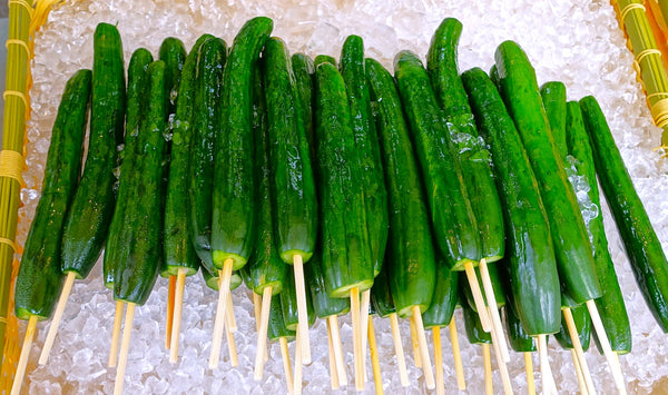 china jade cucumber plant China Jade Burpless Cucumber Seeds - For 2026 Planting Delicious Long