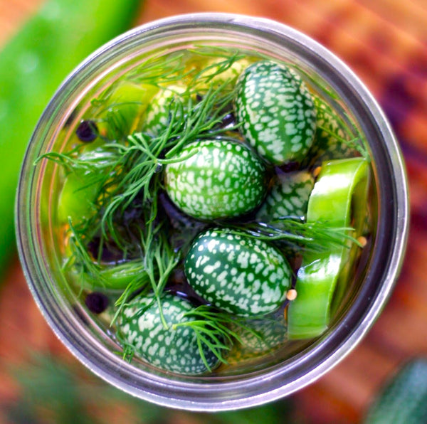 Cucamelon (Mexican Sour Gherkin)