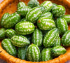 Cucamelon (Mexican Sour Gherkin)