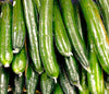 English Telegraph Burpless Cucumber (English Cucumber)