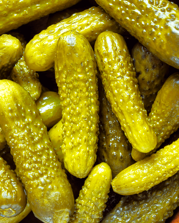 Parisian Gherkin Cucumber Seeds - For 2026 Planting French Cornichon ...