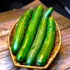 Japanese Long Burpless Cucumber