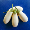 Casper White Eggplant