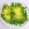 Frisee Endive