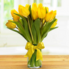 Yellow Triumph Dutch Tulip Bulbs
