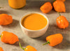Orange Habanero Pepper