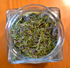 Blue Hyssop