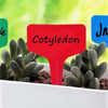 5 Colors Mix T-Shaped Plant Labels