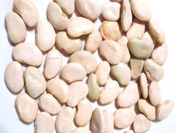 lima beans seeds for planting King of the Garden Lima Bean (Pole) Seeds - For 2026 Planting Large