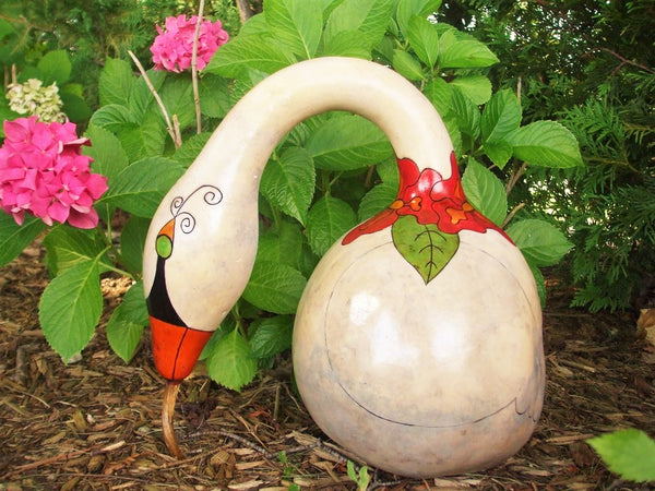 Speckled Swan Gourd