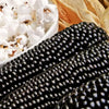 Dakota Black Popcorn (Ornamental Corn)