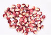 Neon Pink Popcorn (Ornamental Corn)