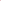 Neon Pink Popcorn (Ornamental Corn)