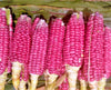 Neon Pink Popcorn (Ornamental Corn)