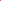 Neon Pink Popcorn (Ornamental Corn)