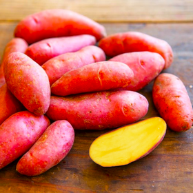 PRE-ORDER NOW! SHIPS MARCH 2025 - Red French Fingerling Seed Potatoes