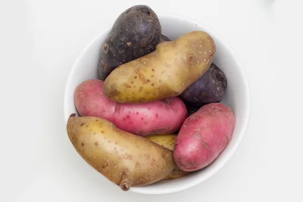 American Flag Mix Seed Potatoes
