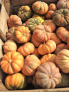 Fairytale Pumpkin (Musquee de Provence)