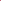 Pink Rose Mallow