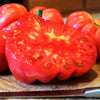 Giant Beefsteak Tomato