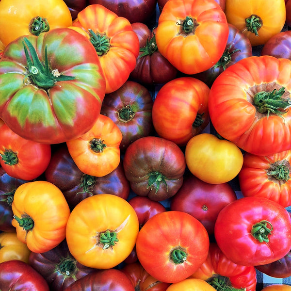 Rainbow Mix Beefsteak Tomato Seeds, Indeterminate Extra Large Multicolor  Mixed Heirloom Tomatoes Planting Vegetable Fruit Seed For 2024 Fast  Shipping