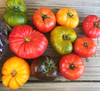 Rainbow Mix Beefsteak Tomato