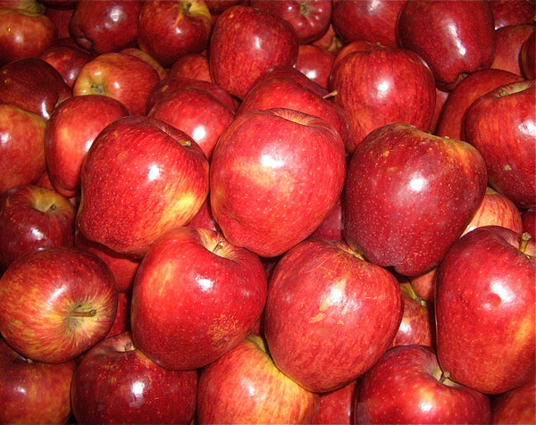 Red Delicious Apple Tree