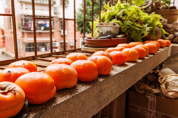 Japanese Persimmon Tree