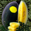 Moon & Stars Yellow Watermelon