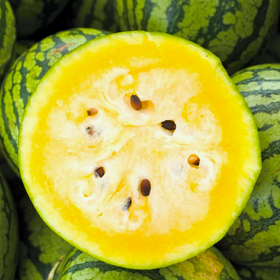 Mountain Sweet Yellow Watermelon