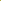 Isabellina Baby Yellow Zinnia