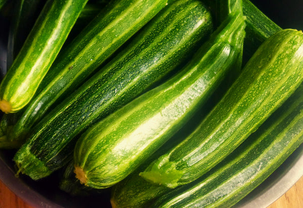 50 Organic Cocozelle Zucchini Seeds – Non-GMO – Summer Squash – Seeds Of Tomorrow