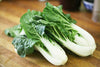 Large White Stem Bok Choy