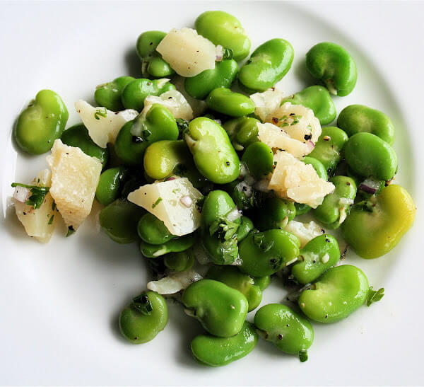 Aguadulce Fava Bean Seeds - 50 Count - NON-GMO - Country Creek Acres