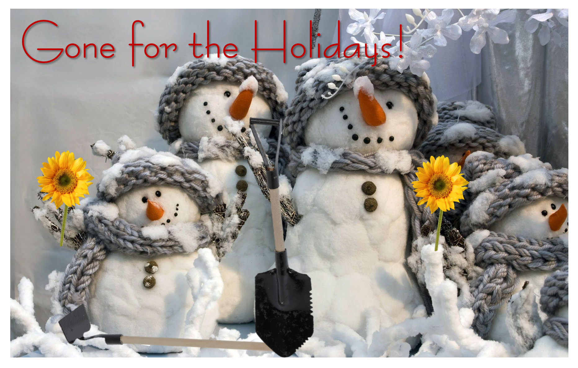 Holiday banner website b15ddb0e b433 4d96 923b 3e094b3bcd3e